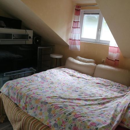 Wohlfuehloase - Zimmer, Appartment - Im Herzen Starnbergs Room photo