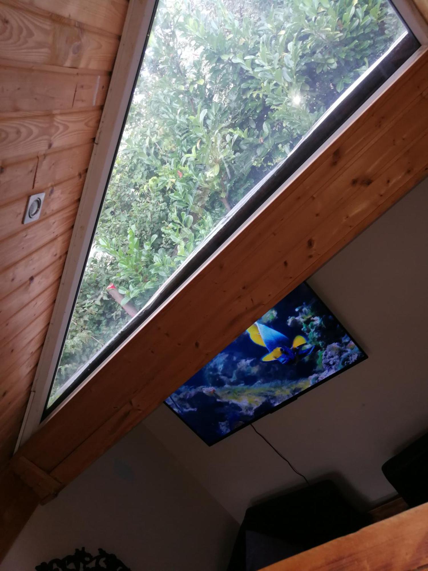 Wohlfuehloase - Zimmer, Appartment - Im Herzen Starnbergs Room photo